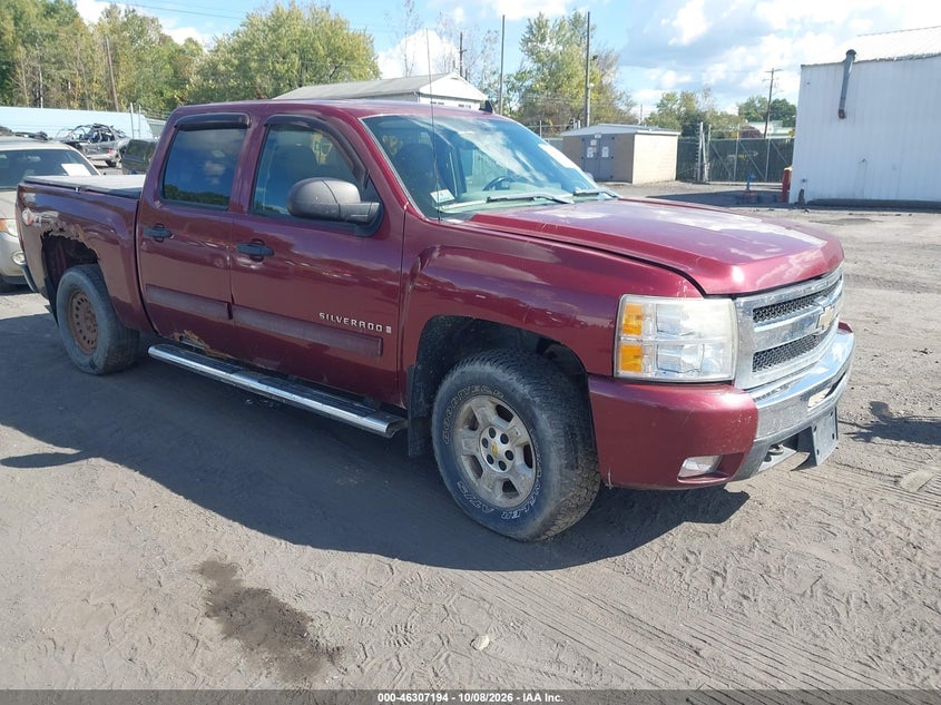 2009 CHEVROLET SILVERADO 1500 LT | 3GCEK233X9G150143 | UPCARS