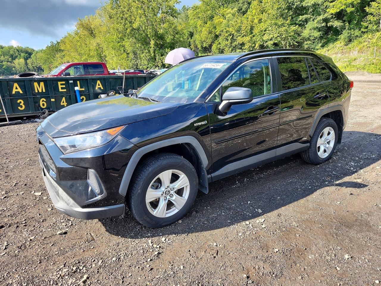 2019 TOYOTA RAV4 LE | JTMLWRFV5KD026382 | UPCARS