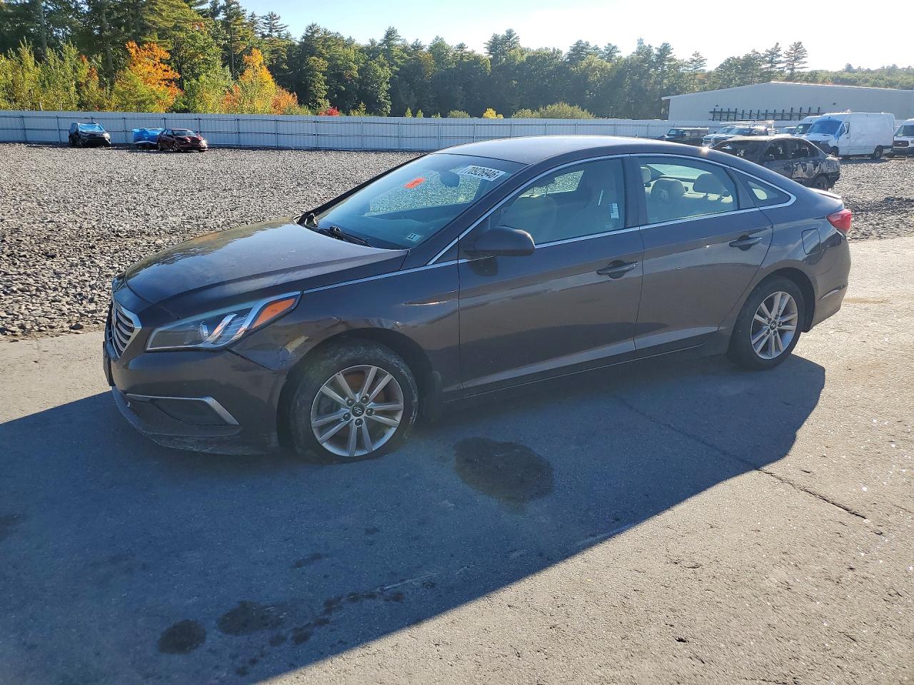 2016 HYUNDAI SONATA SE | 5NPE24AF3GH293478 | UPCARS