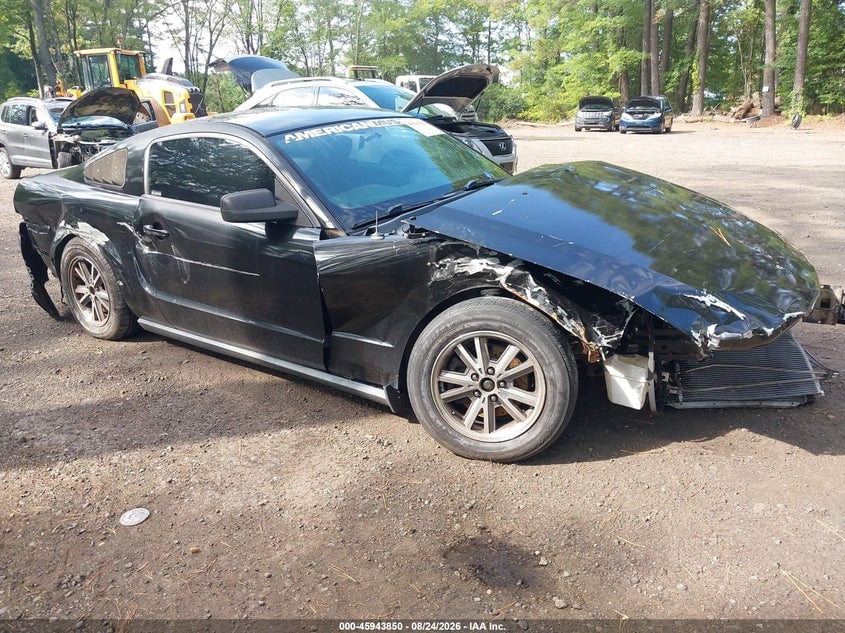 2005 FORD MUSTANG V6 DELUXE/V6 PREMIUM | 1ZVFT80N855239458 | UPCARS