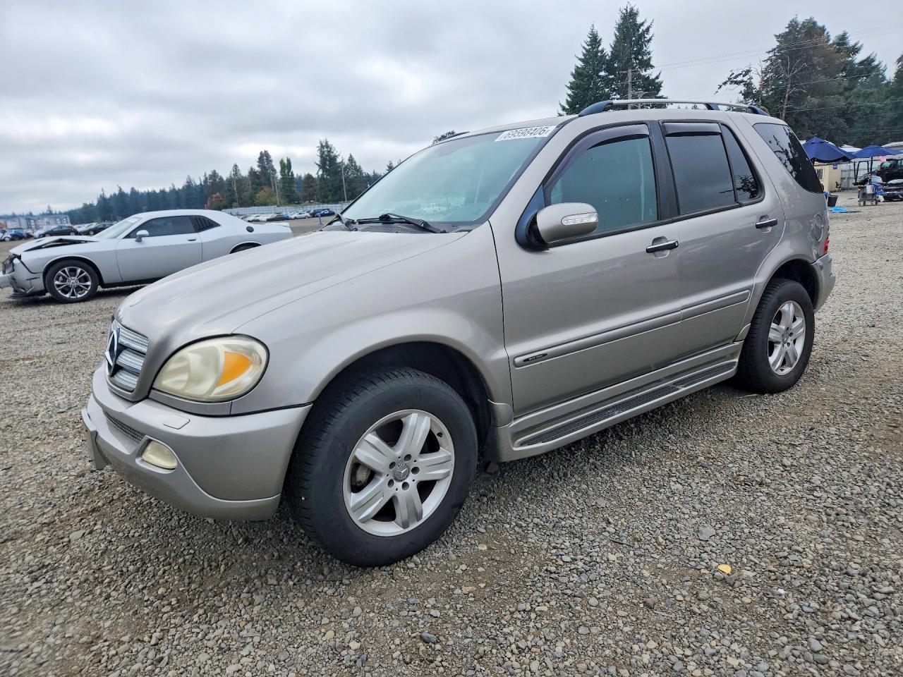 2005 MERCEDES-BENZ M-CLASS 500 | 4JGAB75E95A546353 | UPCARS