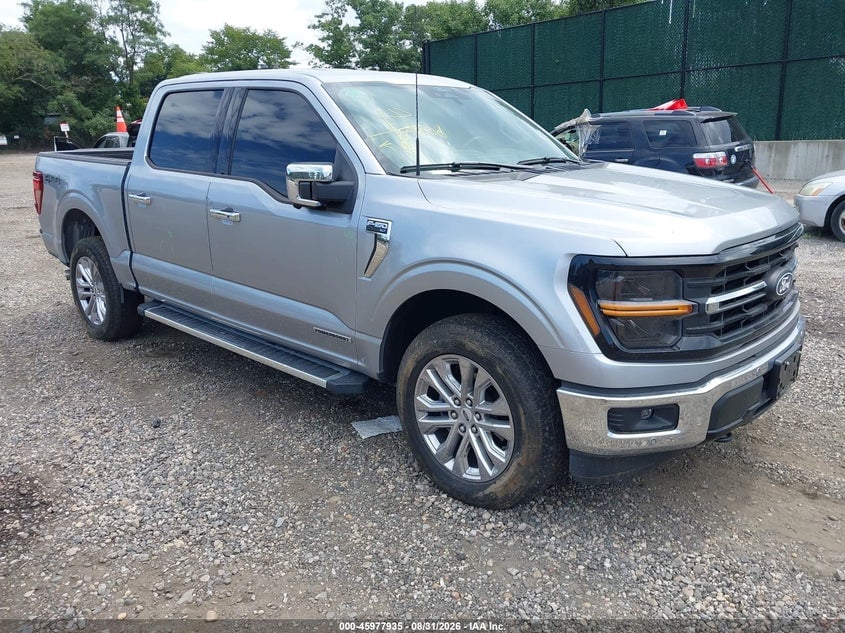 2024 FORD F-150 XLT | 1FTFW3LD2RFA08491 | UPCARS