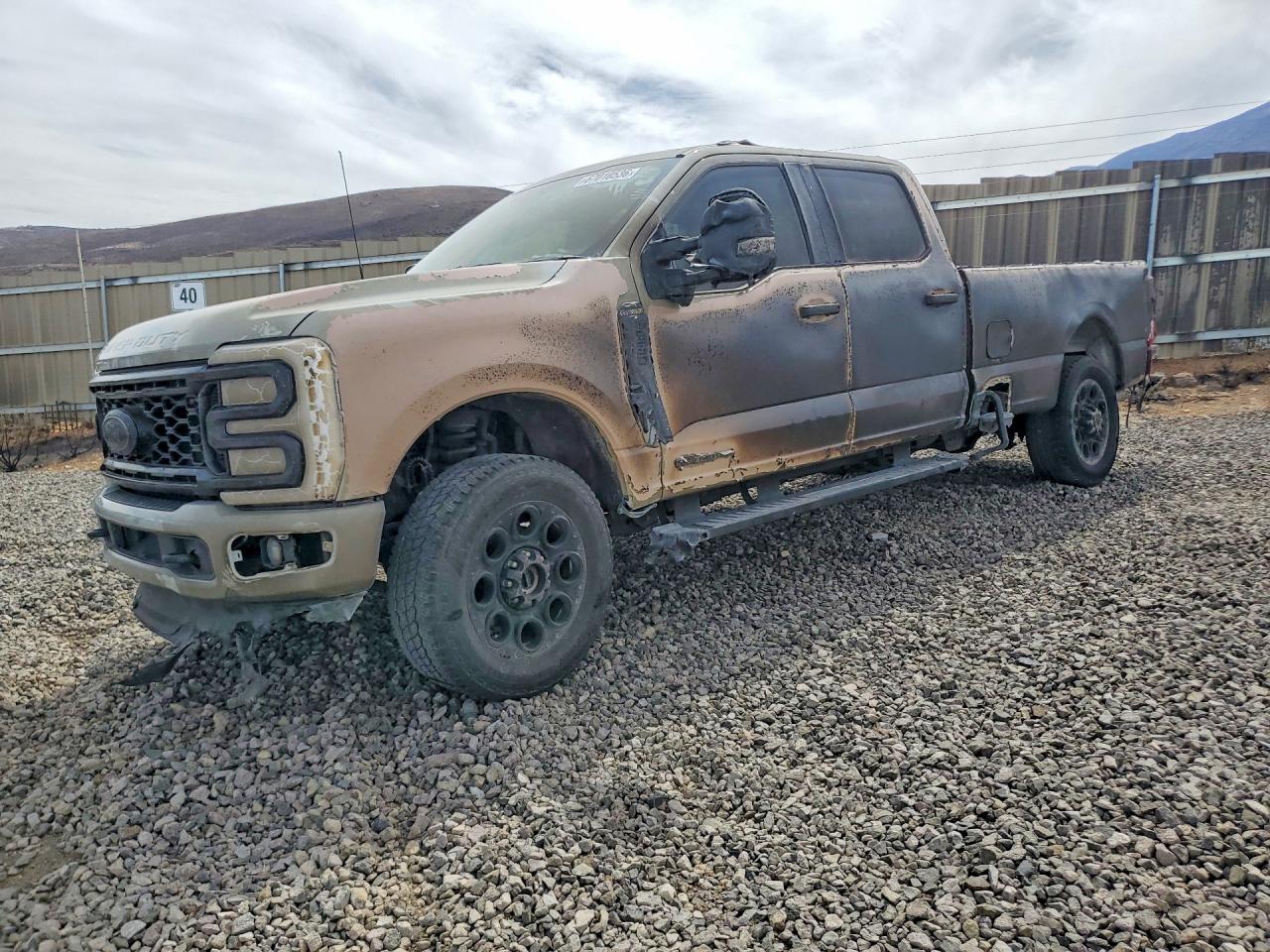 2025 FORD F350 SUPER DUTY | 1FT8W3BT3SED94531 | UPCARS