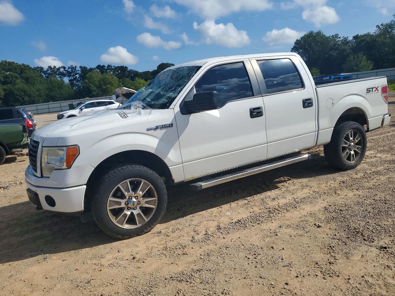 2014 FORD F150 SUPERCREW | 1FTFW1EF5EKG30796 | UPCARS