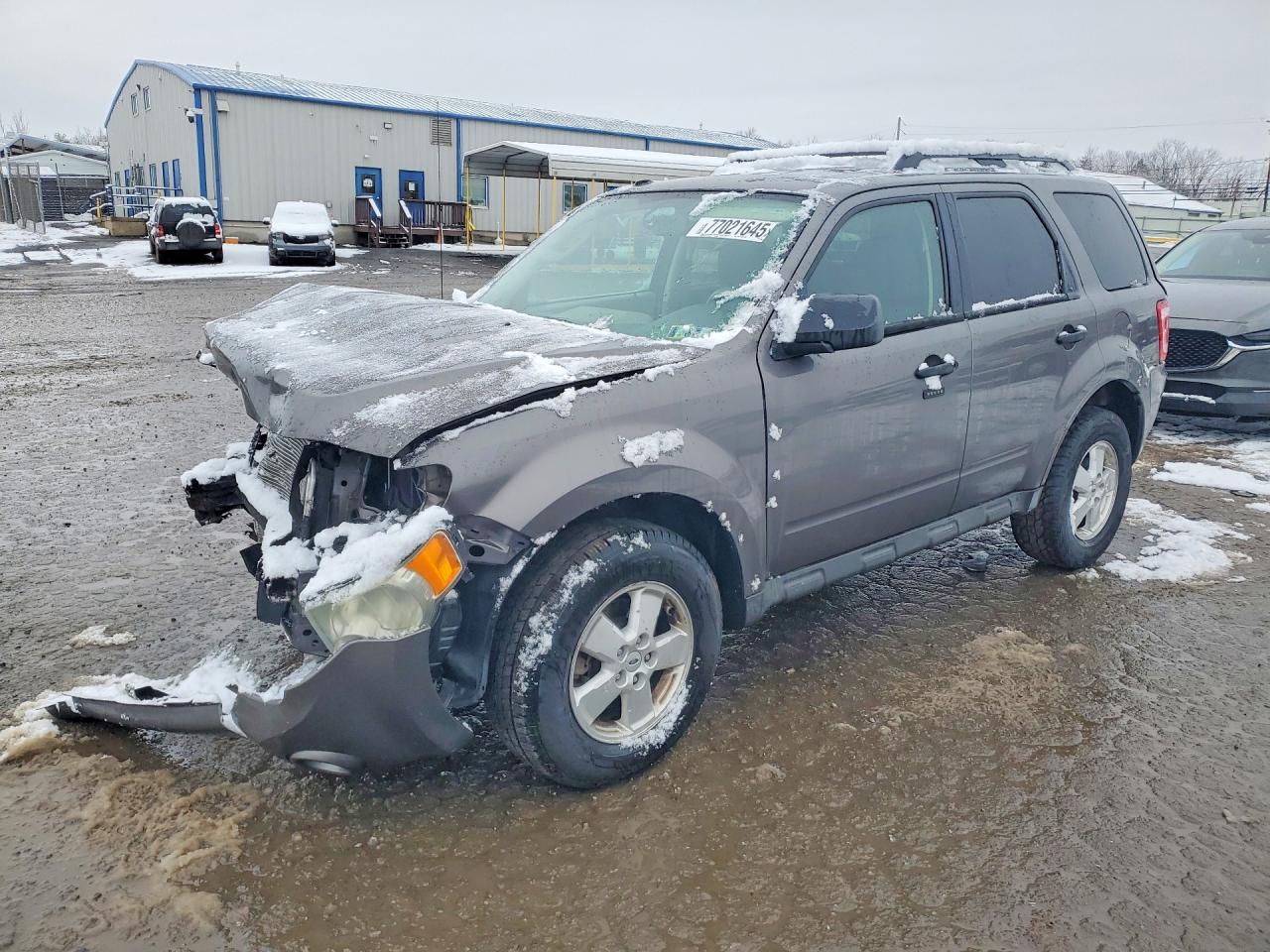 2010 FORD ESCAPE XLT | 1FMCU0D72AKB30162 | UPCARS