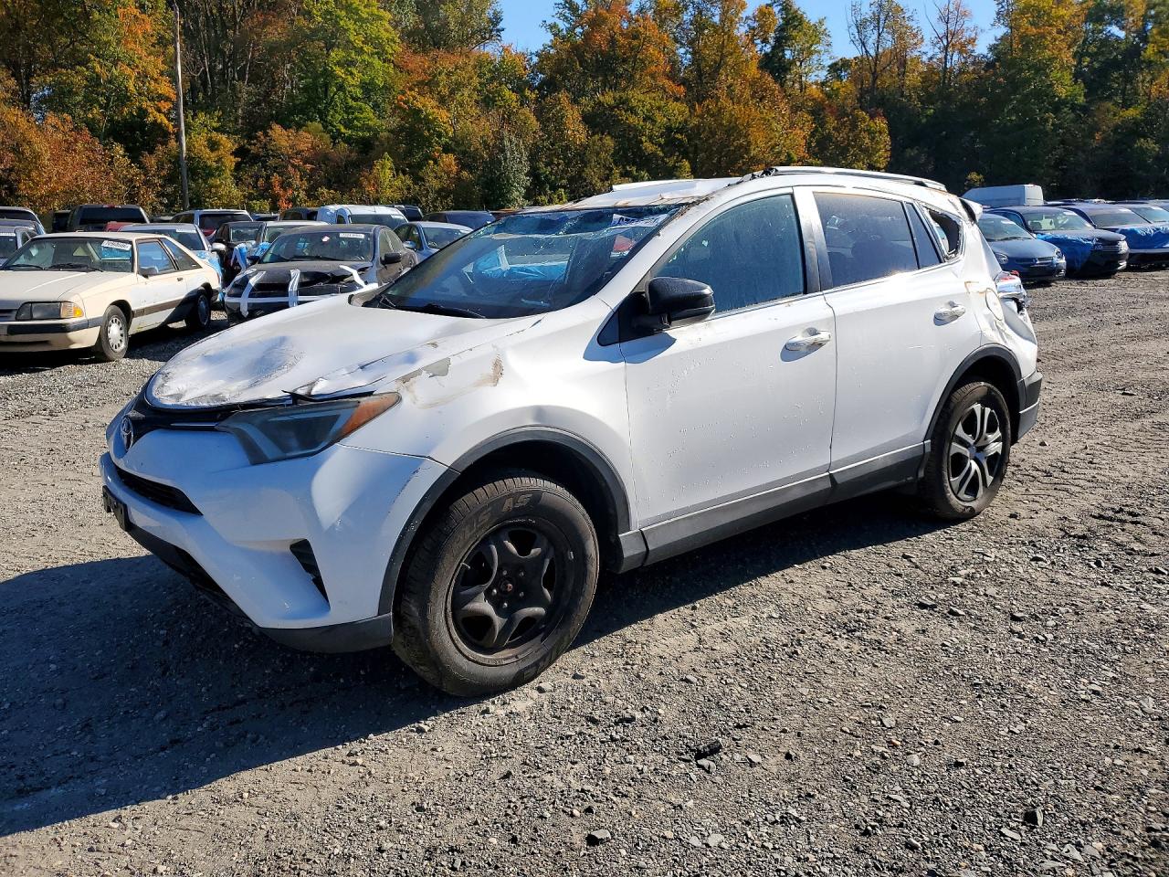 2016 TOYOTA RAV4 LE | 2T3BFREV1GW508919 | UPCARS