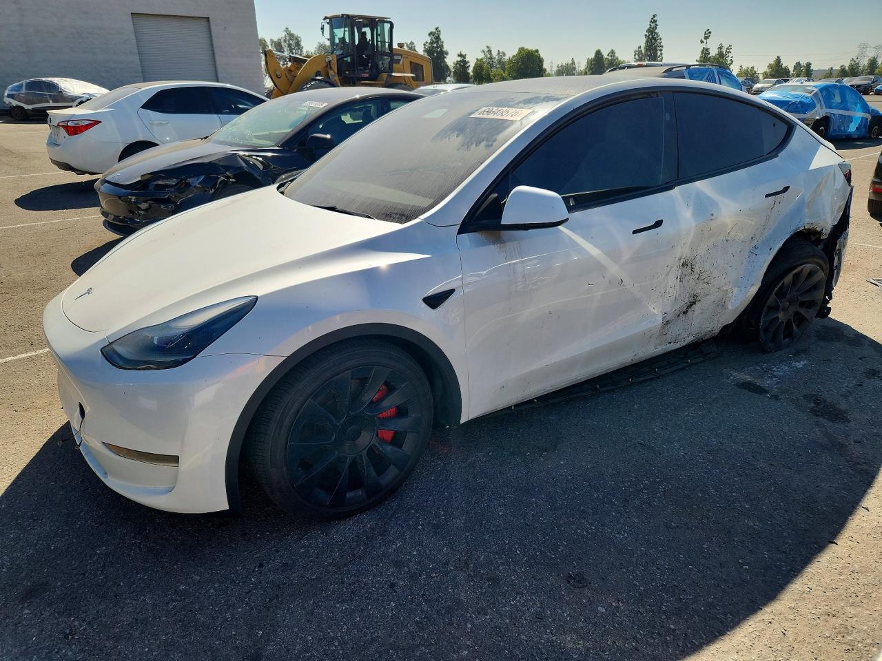 2024 TESLA MODEL Y | 7SAYGDED8RF008883 | UPCARS
