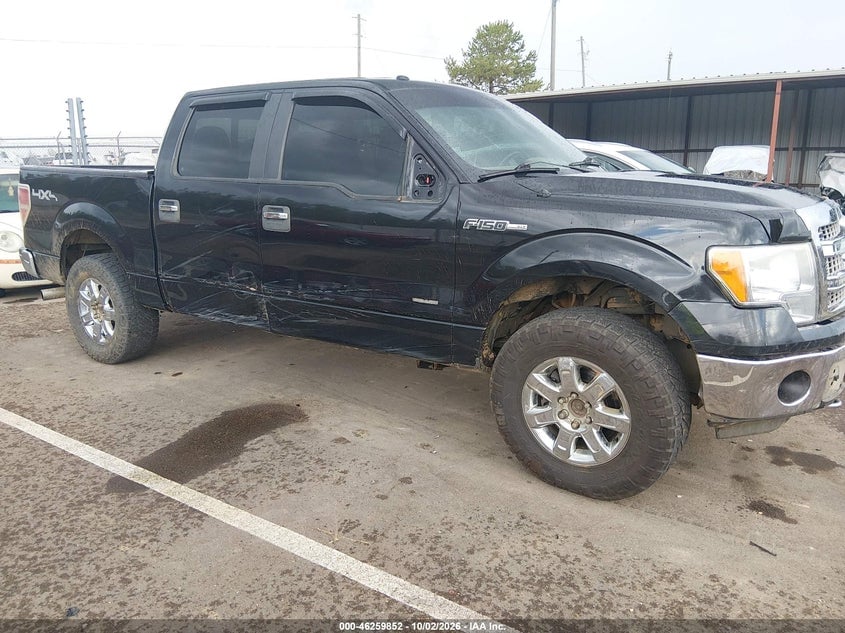 2014 FORD F-150 XLT | 1FTFW1ETXEKE21320 | UPCARS