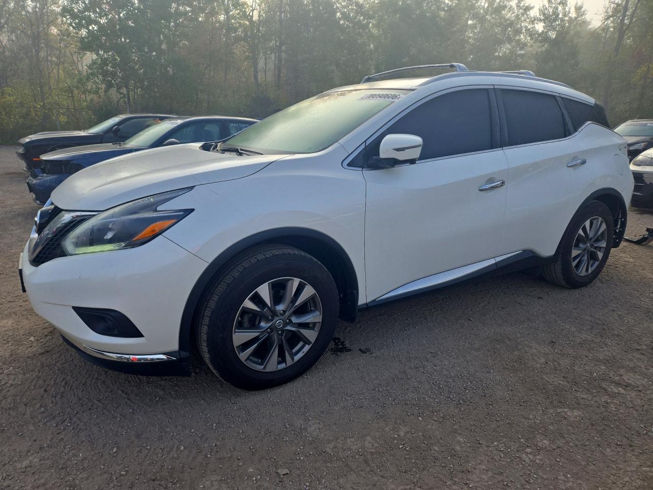 2018 NISSAN MURANO S | 5N1AZ2MH5JN167248 | UPCARS