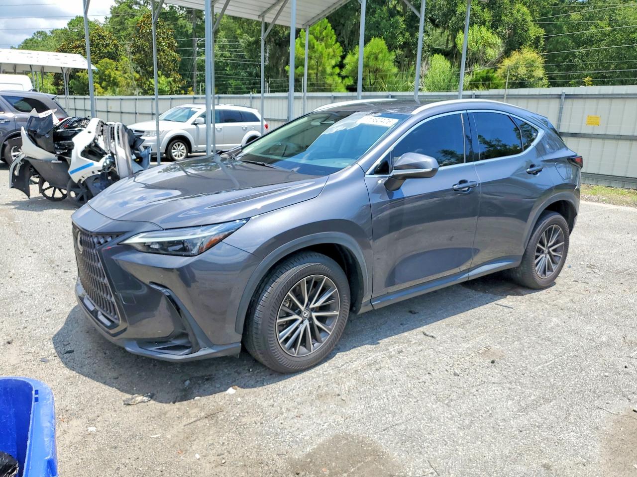 2024 LEXUS NX BASE | 2T2ADCAZ5RC006348 | UPCARS