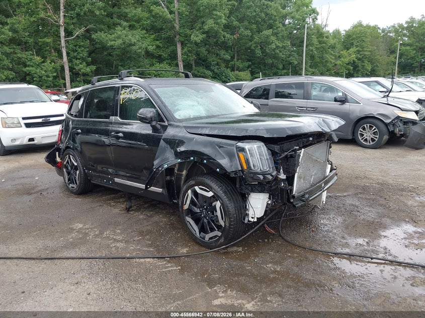 2024 KIA TELLURID EX | 5XYP3DGC0RG524558 | UPCARS