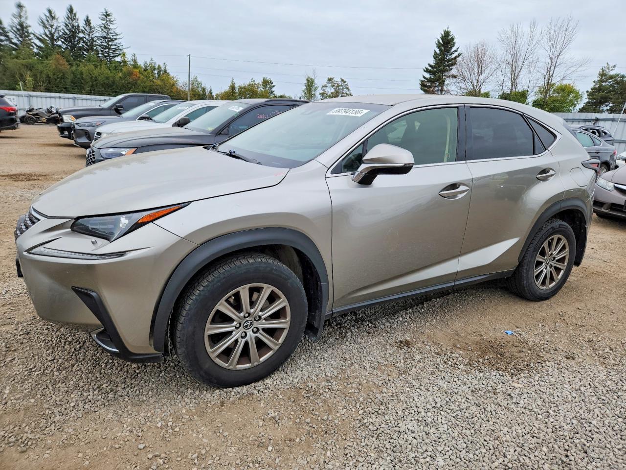 2019 LEXUS NX BASE | JTJBARBZ4K2204679 | UPCARS