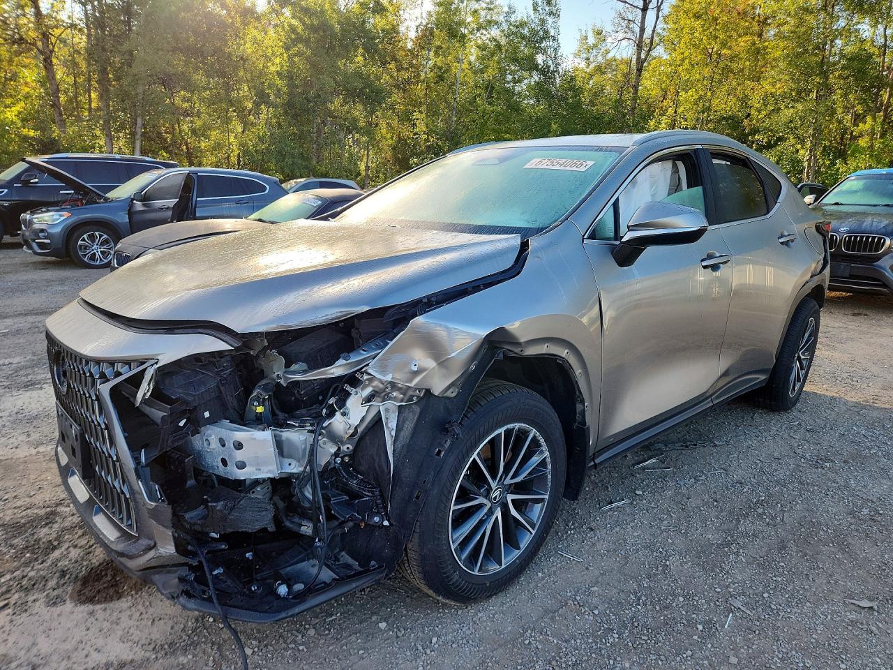 2024 LEXUS NX 350H BASE | 2T2GKCEZXRC023379 | UPCARS