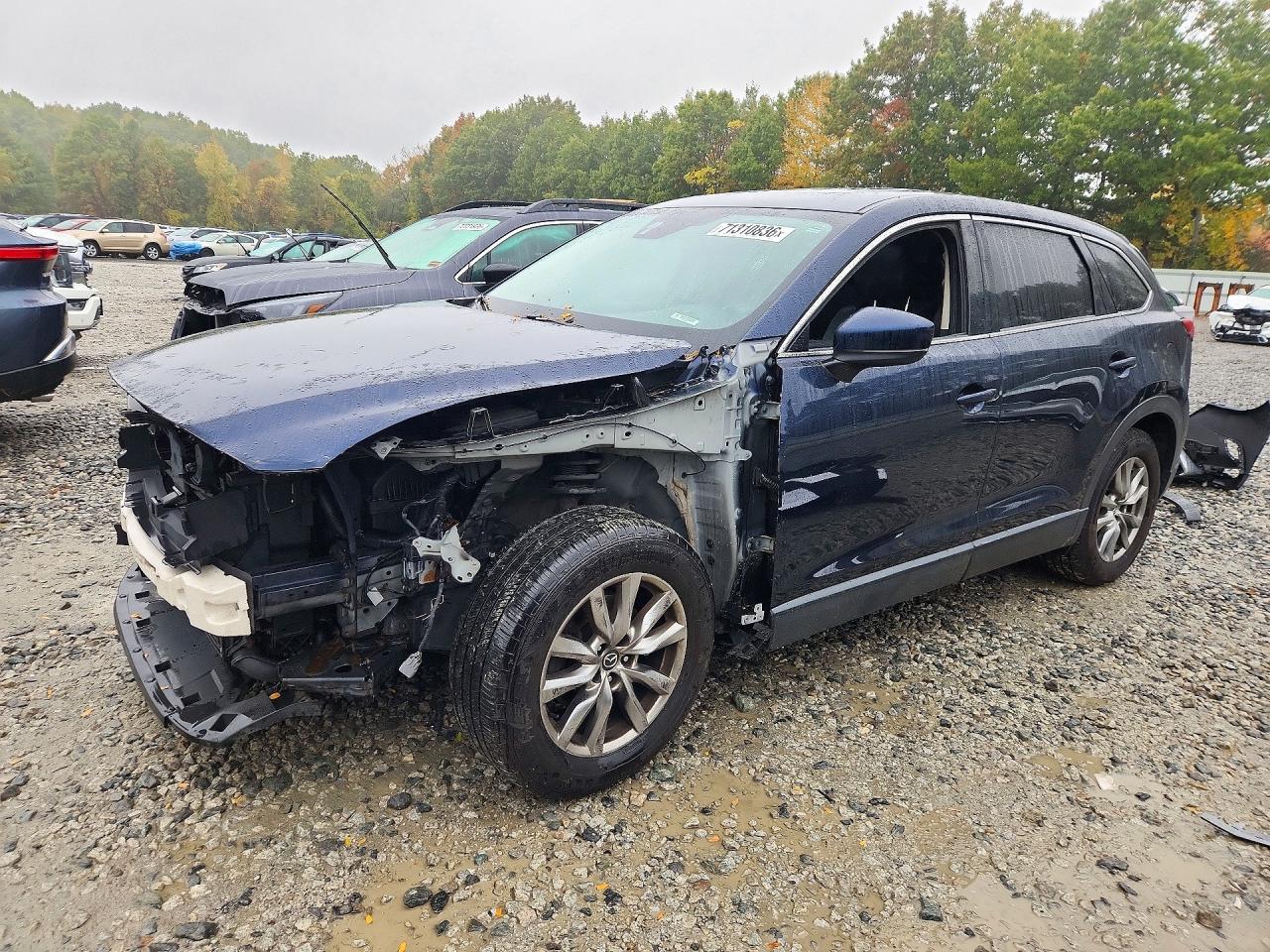 2016 MAZDA CX-9 TOURING | JM3TCBCY8G0126951 | UPCARS