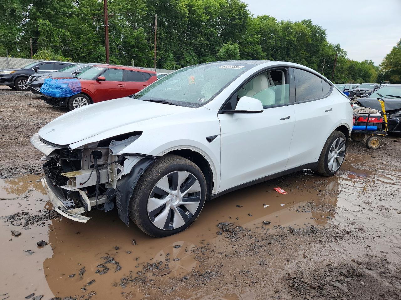 2023 TESLA MODEL Y | 7SAYGDEE5PF797211 | UPCARS
