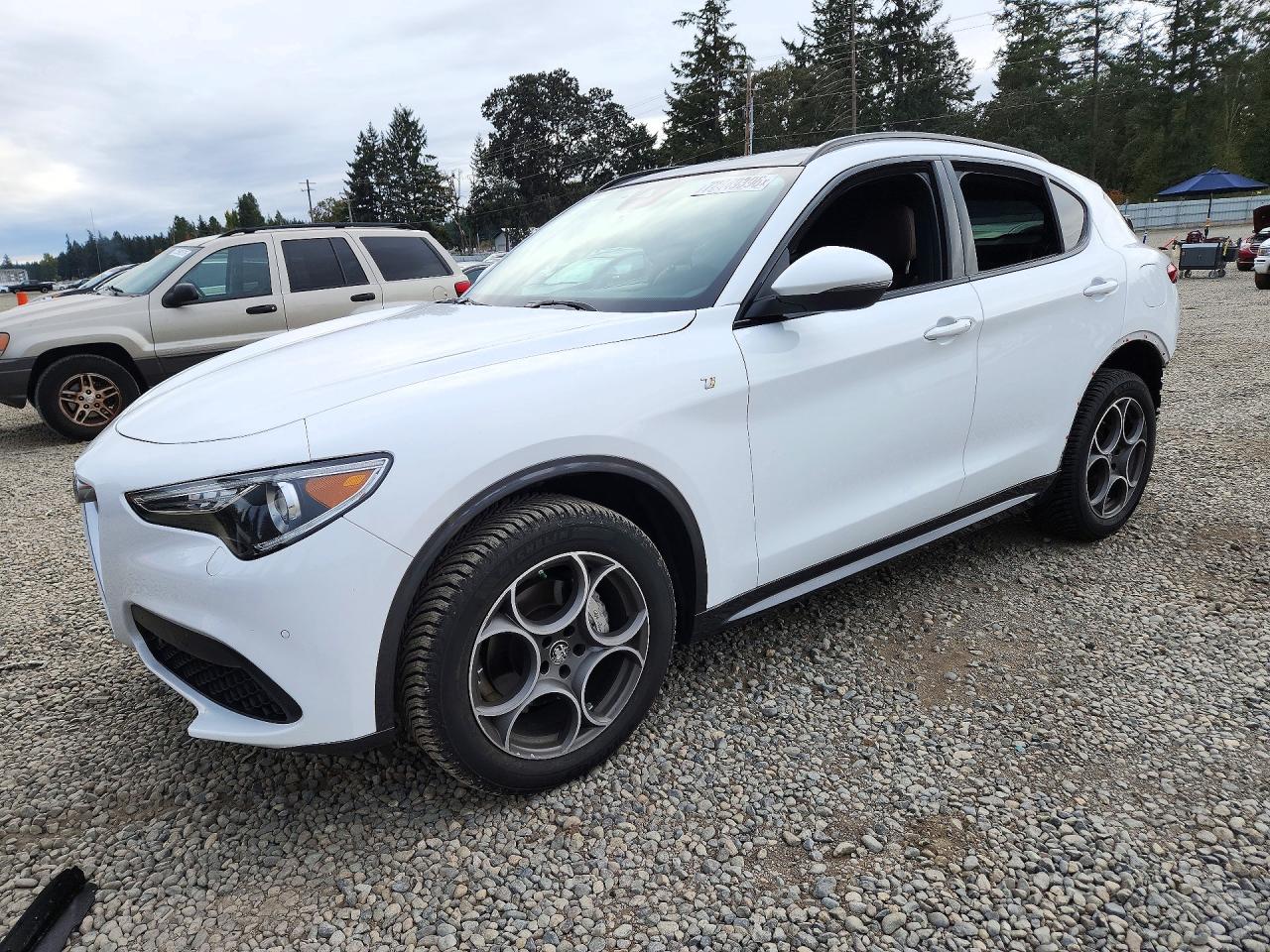 2022 ALFA ROMEO STELVIO TI | ZASPAKBN0N7D46779 | UPCARS