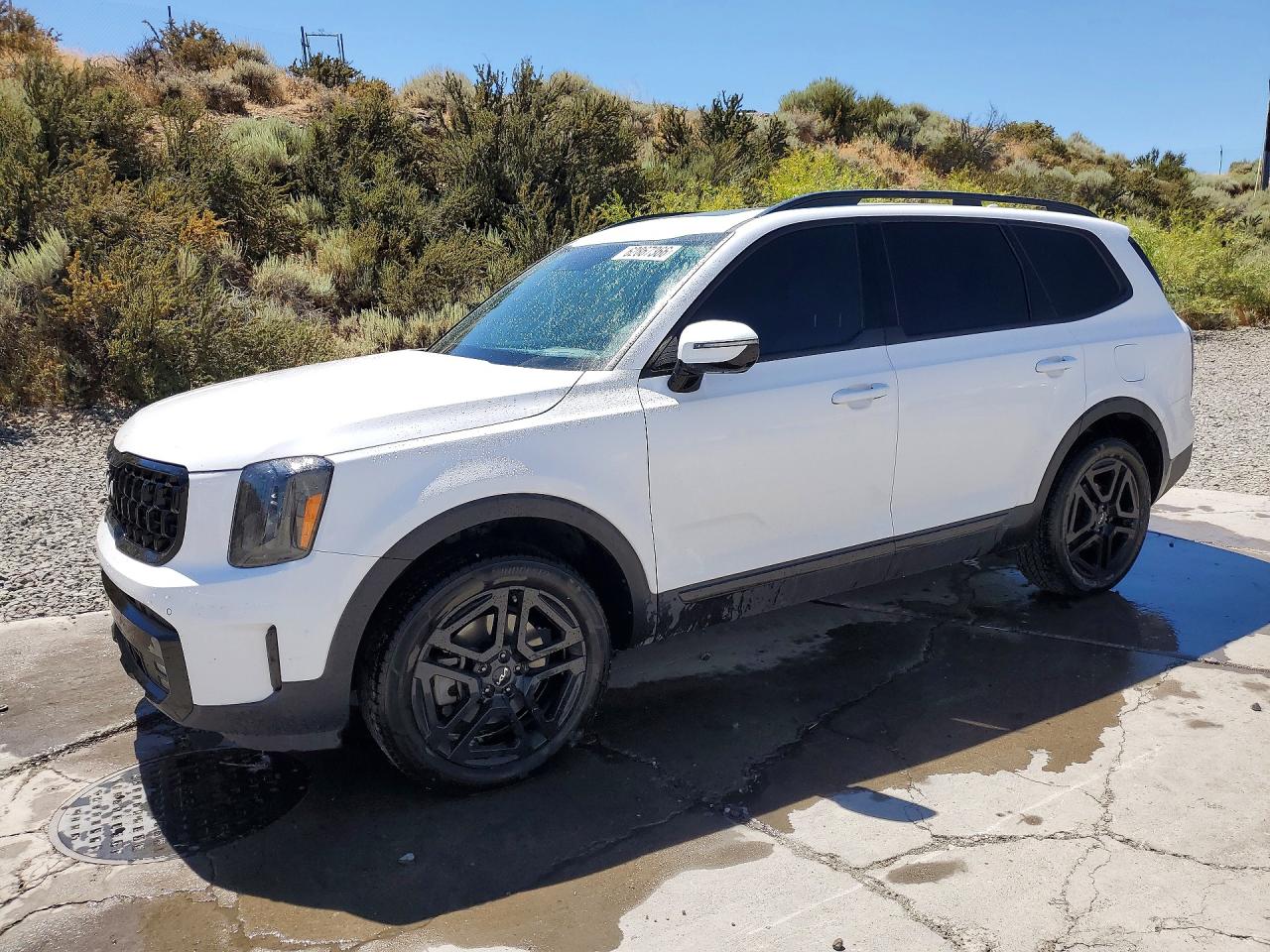 2024 KIA TELLURIDE SX-PRESTIGE X-LINE | 5XYP5DGCXRG550434 | UPCARS