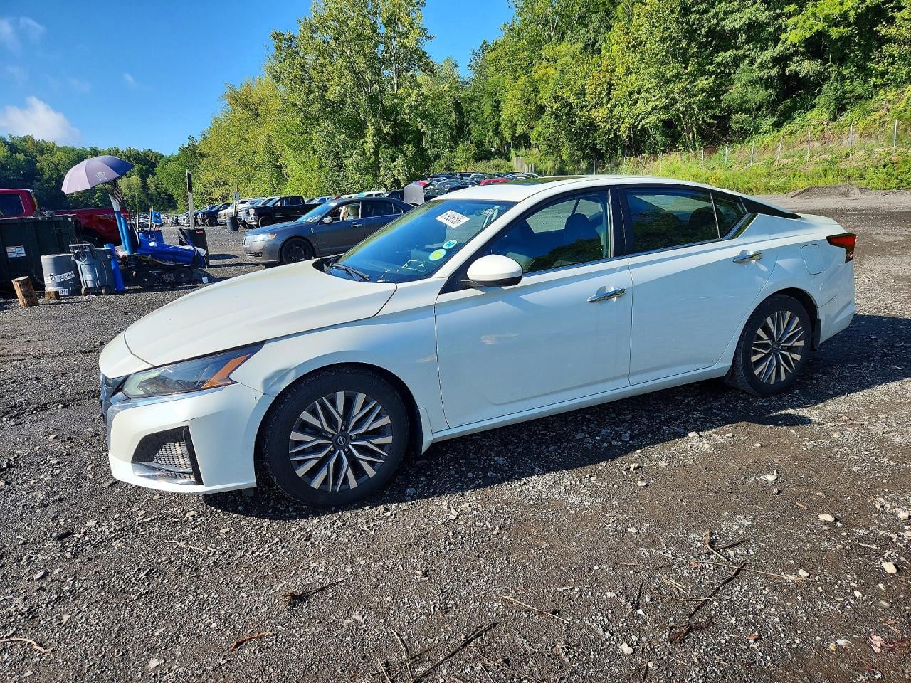 2024 NISSAN ALTIMA SV | 1N4BL4DV1RN427089 | UPCARS