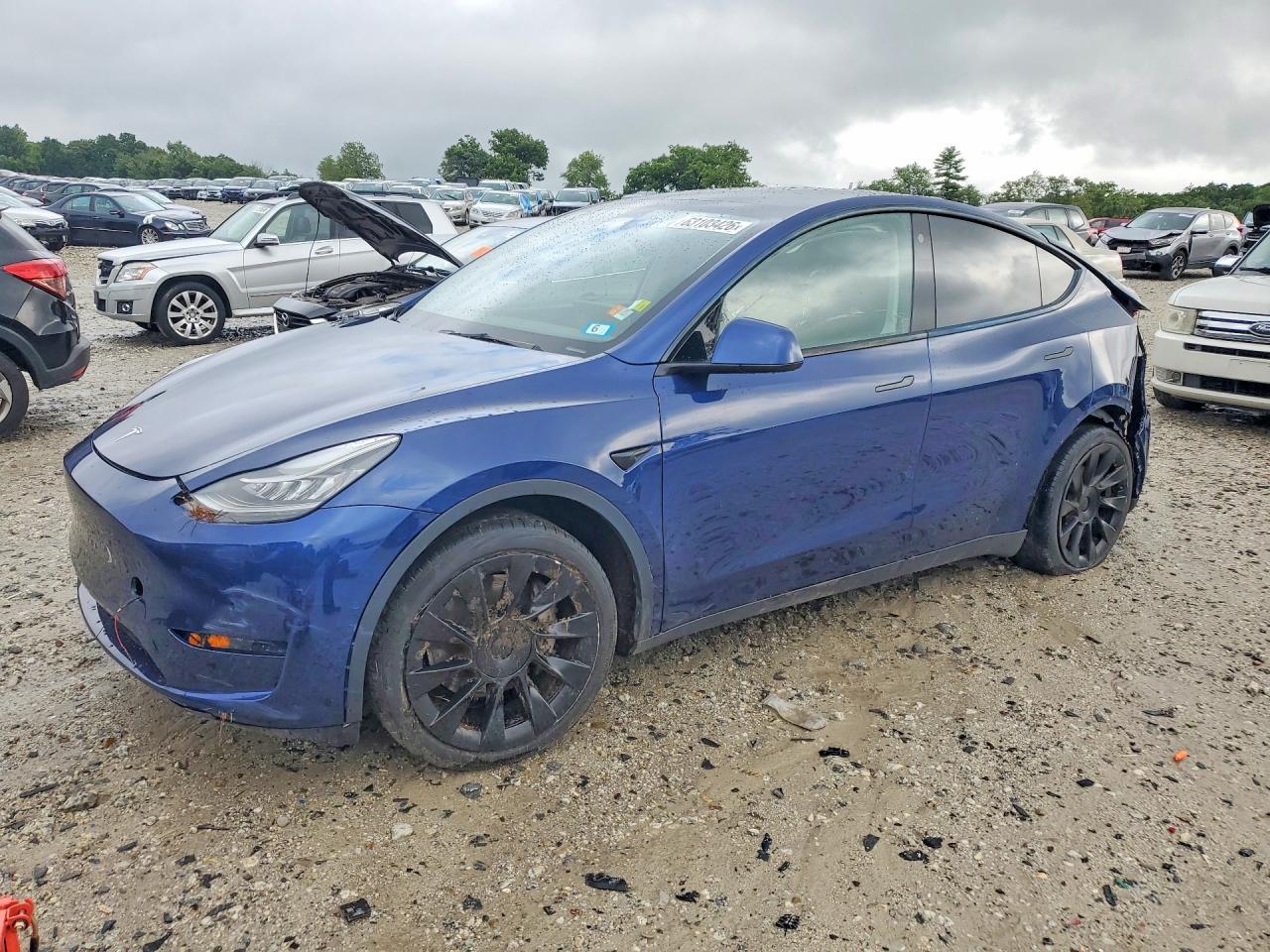 2022 TESLA MODEL Y | 7SAYGDEEXNF384410 | UPCARS