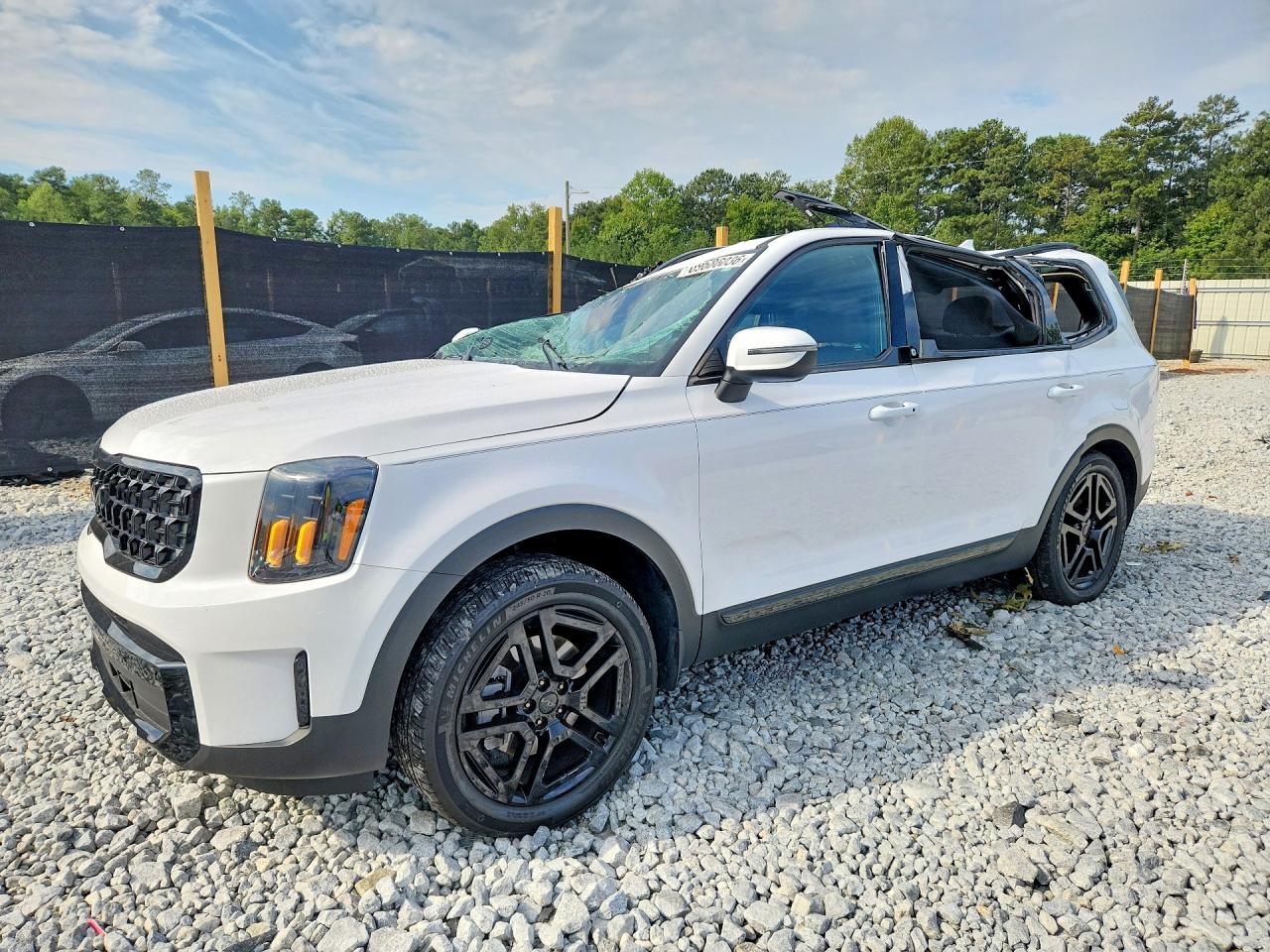 2025 KIA TELLURID EX X-LINE | 5XYP3DGC2SG643329 | UPCARS