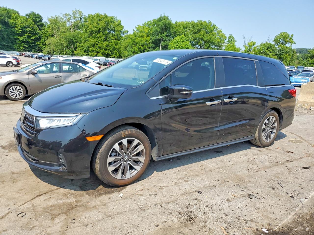 2022 HONDA ODYSSEY EXL | 5FNRL6H74NB065722 | UPCARS