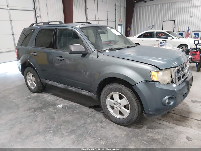 2011 FORD ESCAPE XLT | 1FMCU0D7XBKB65307 | UPCARS