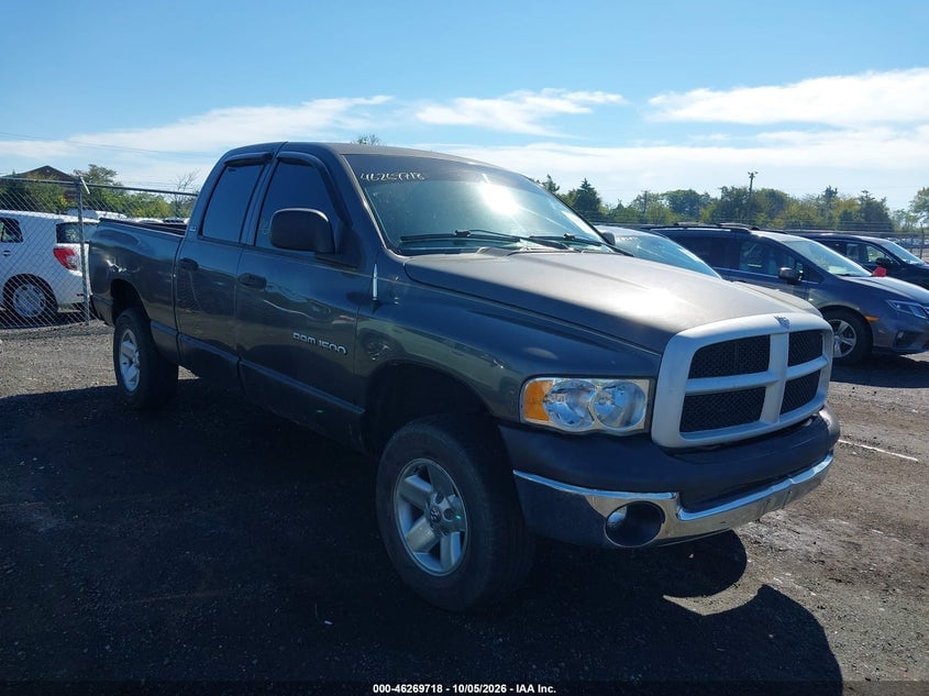 2002 DODGE RAM 1500 ST | 1B7HU18Z22J109668 | UPCARS