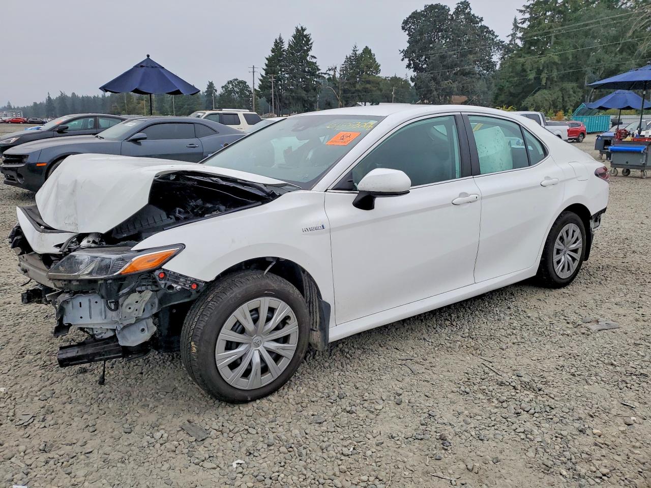 2021 TOYOTA CAMRY LE | 4T1C31AK6MU549982 | UPCARS