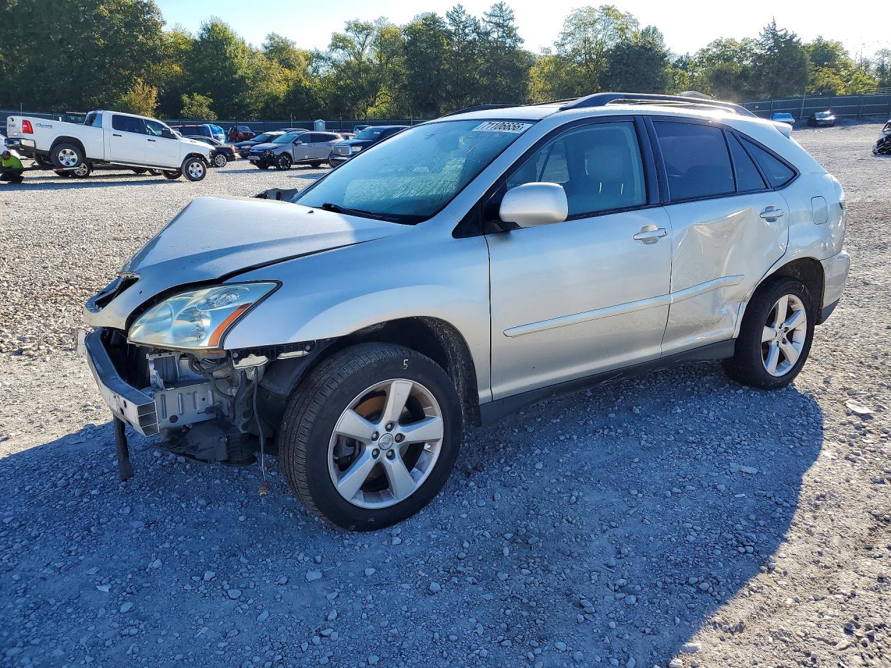 2007 LEXUS RX 350 | JTJGK31U570008081 | UPCARS