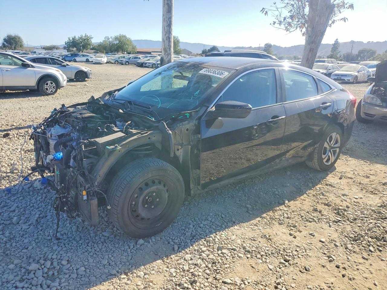 2017 HONDA CIVIC LX | 2HGFC2F54HH556191 | UPCARS