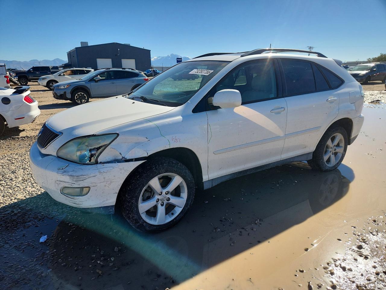 2005 LEXUS RX 330 | 2T2HA31U25C082888 | UPCARS
