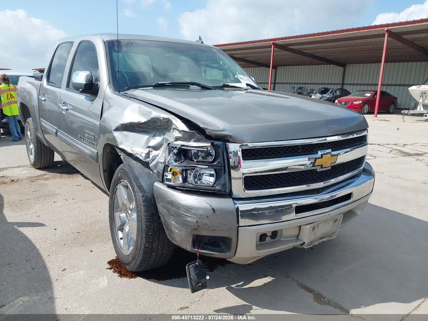 2009 CHEVROLET SILVERADO 1500 LT | 3GCEC23JX9G263036 | UPCARS
