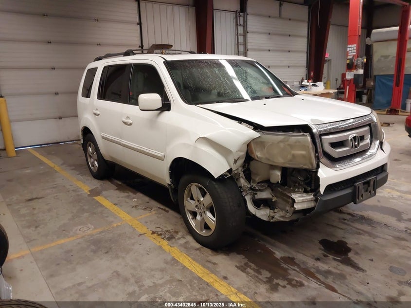 2011 HONDA PILOT EXL | 5FNYF4H58BB049895 | UPCARS