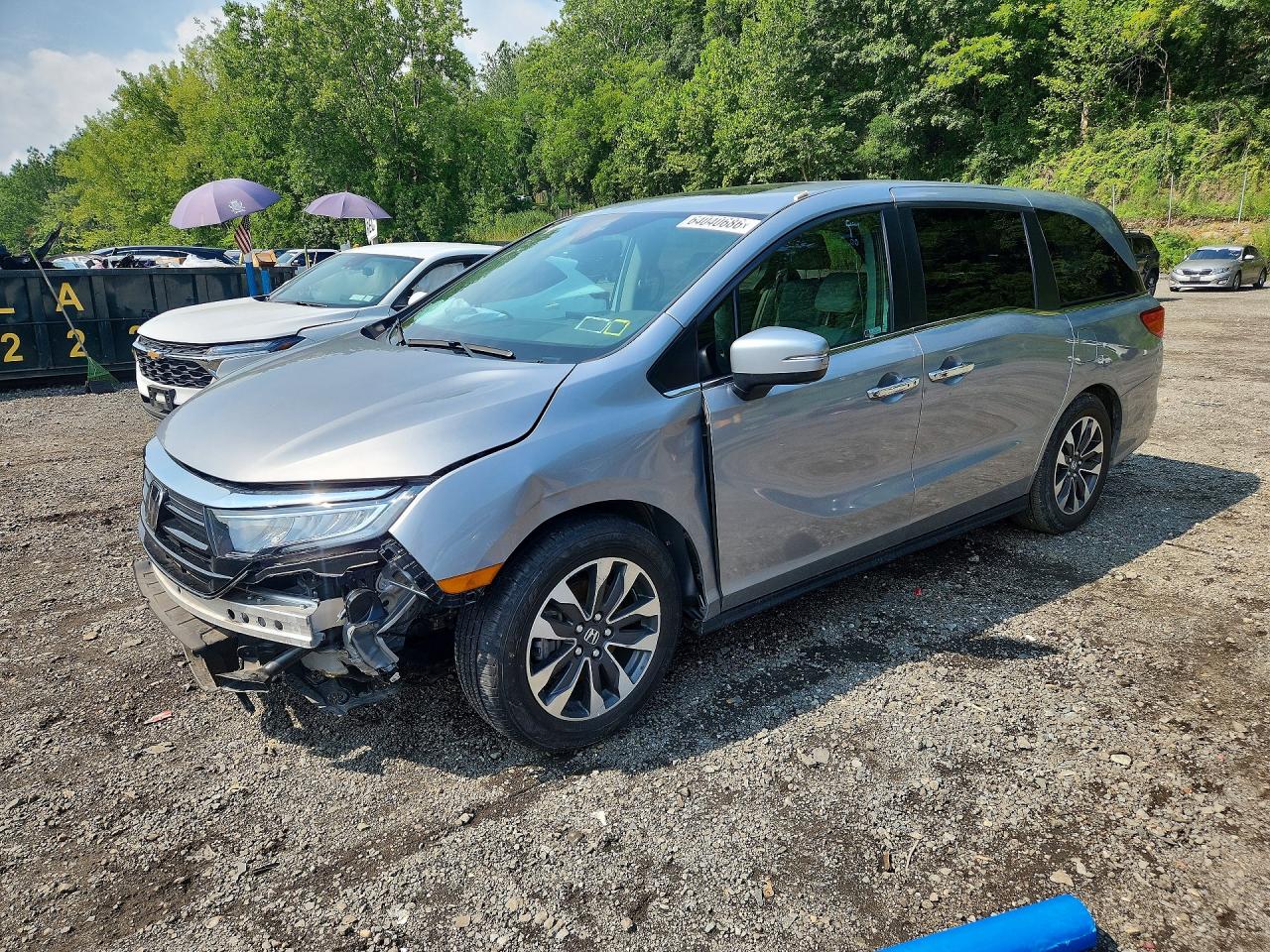2024 HONDA ODYSSEY EXL | 5FNRL6H62RB054778 | UPCARS