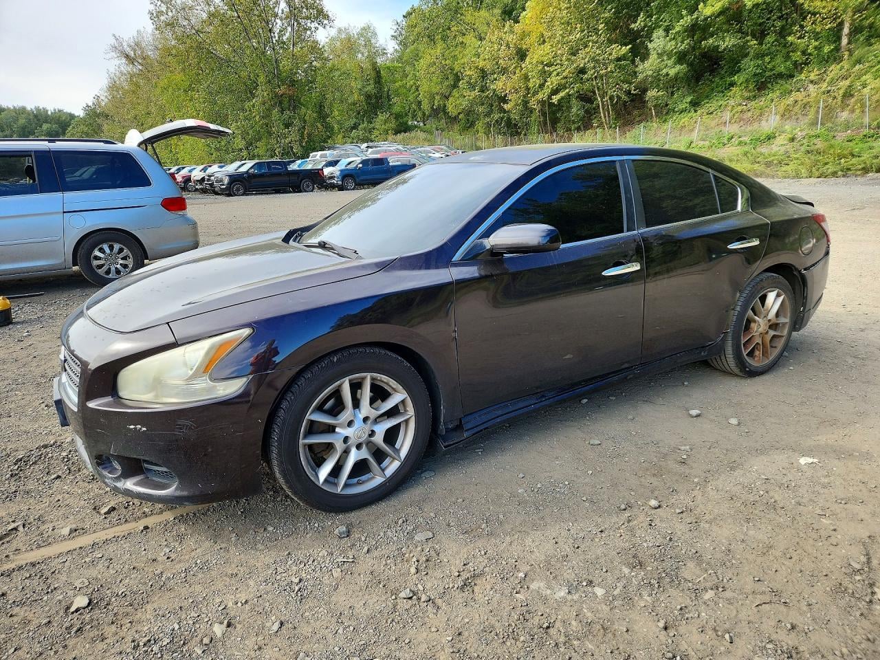 2010 NISSAN MAXIMA | 1N4AA5AP0AC832387 | UPCARS