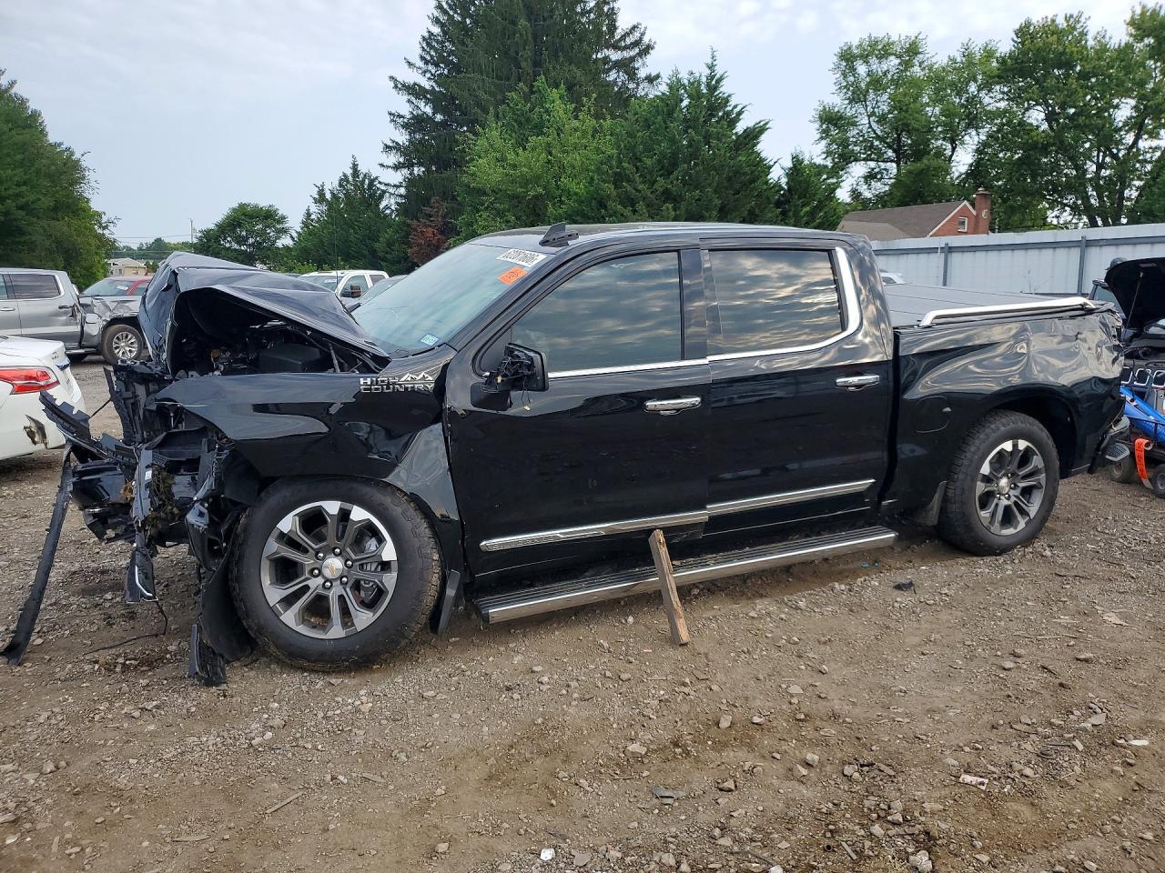 2025 CHEVROLET SILVERADO K1500 HIGH COUNTRY | 1GCUKJELXSZ199772 | UPCARS