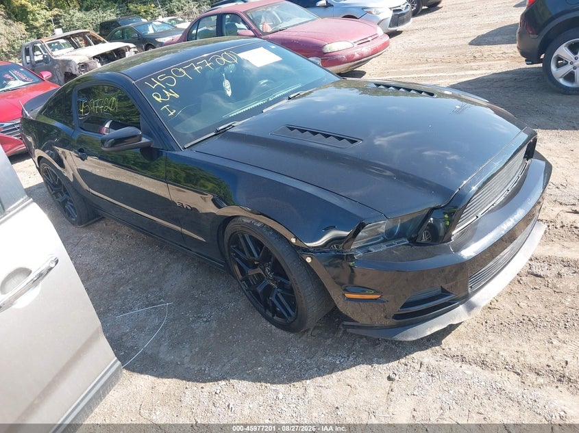 2013 FORD MUSTAN GT | 1ZVBP8CF7D5200916 | UPCARS