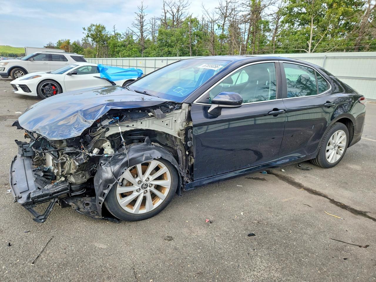 2021 TOYOTA CAMRY LE | 4T1C11BK1MU020721 | UPCARS