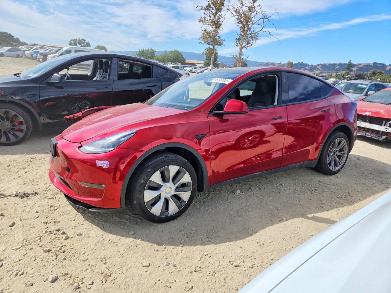 2024 TESLA MODEL Y | 7SAYGDEE3RF003101 | UPCARS