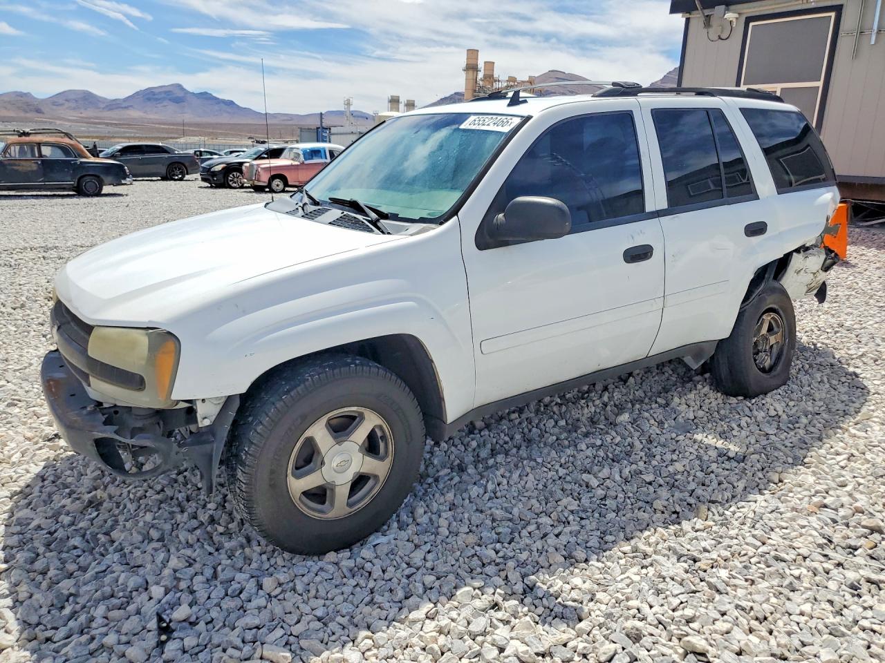 2006 CHEVROLET TRAILBLAZE LS | 1GNDS13S662189174 | UPCARS