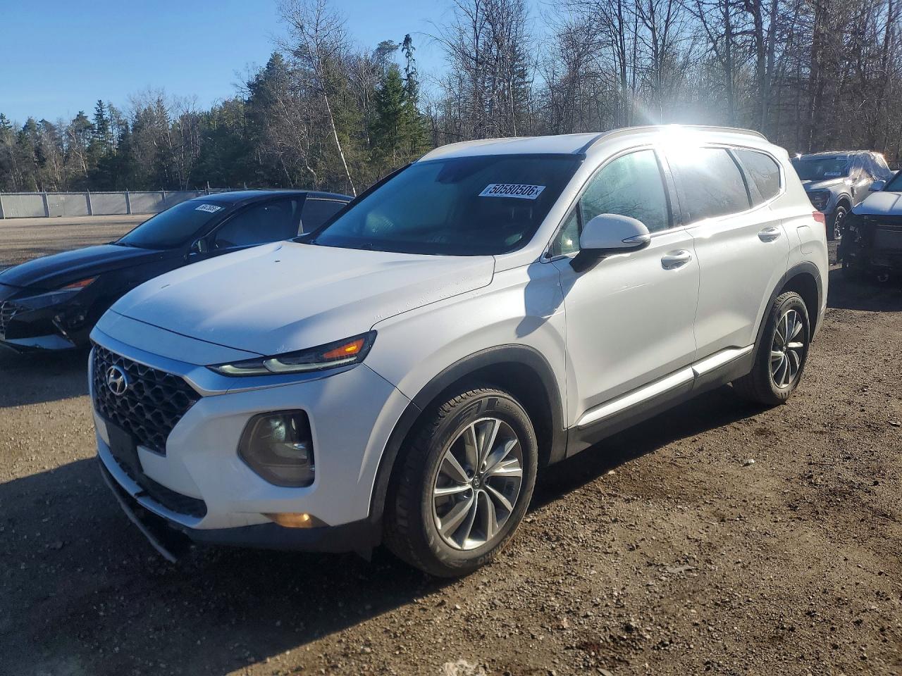 2019 HYUNDAI SANTA FE SEL 2.4L | 5NMS3CAD5KH038281 | UPCARS