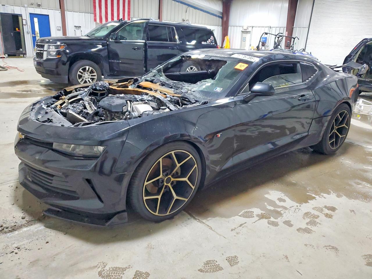 2017 CHEVROLET CAMARO LS | 1G1FA1RX8H0213392 | UPCARS