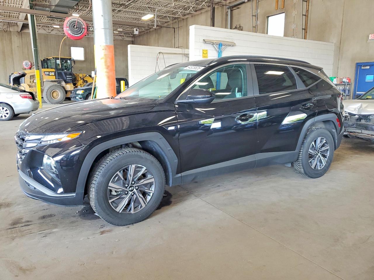 2024 HYUNDAI TUCSON BLUE | KM8JBCD13RU241443 | UPCARS