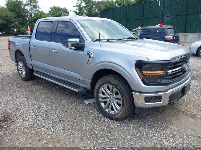 2024 FORD F-150 XLT | 1FTFW3LD2RFA08491 | UPCARS