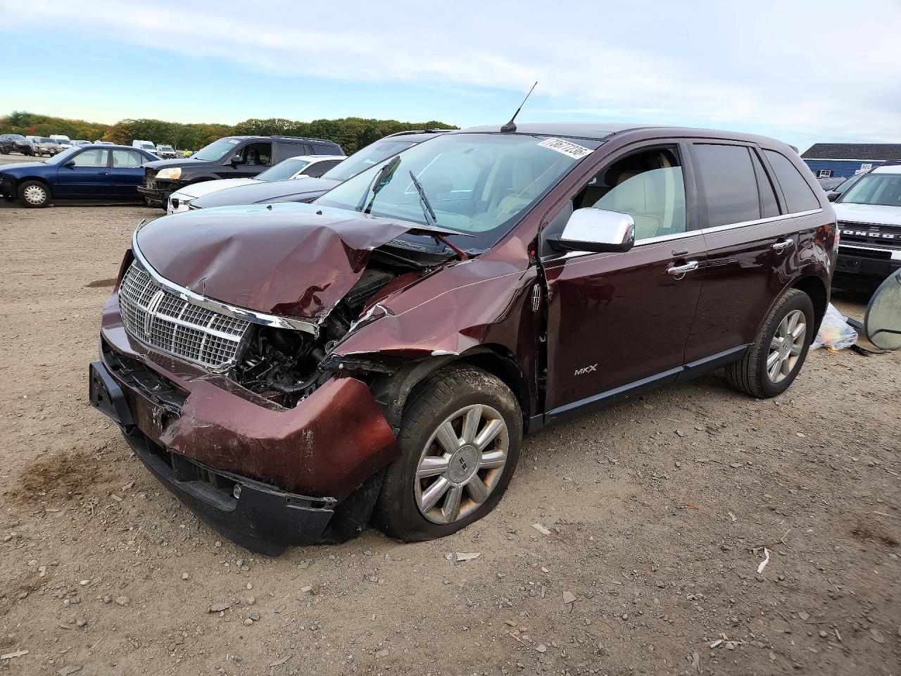 2009 LINCOLN MKX | 2LMDU88C09BJ08469 | UPCARS