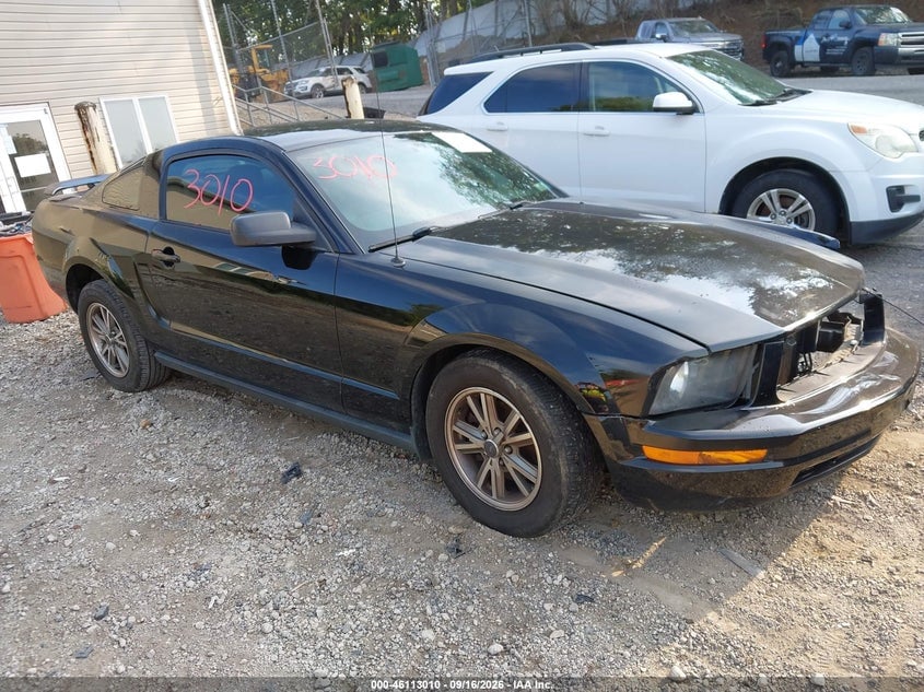 2005 FORD MUSTANG V6 DELUXE/V6 PREMIUM | 1ZVHT80N855194787 | UPCARS