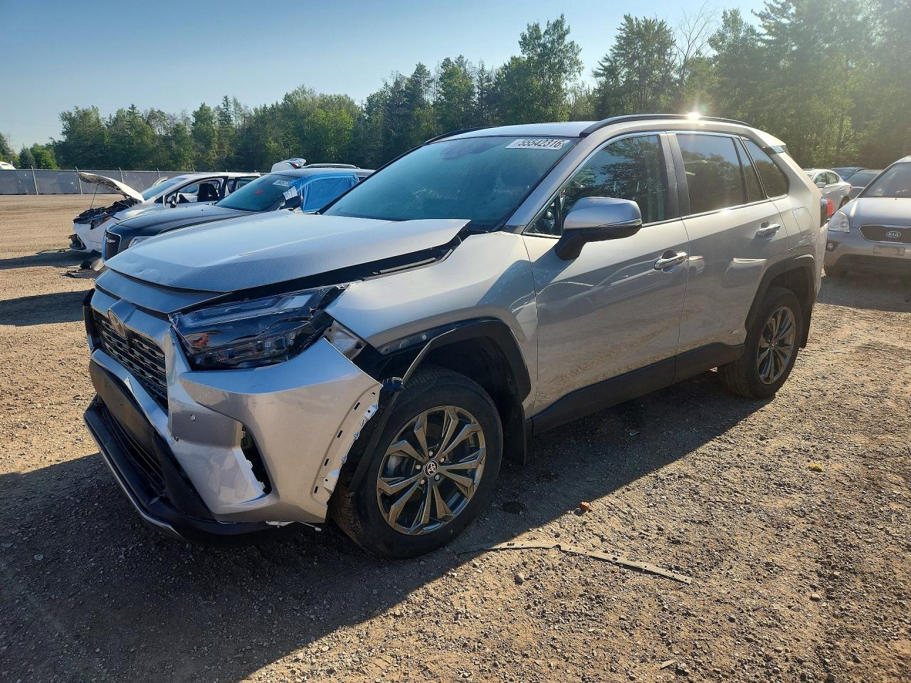 2024 TOYOTA RAV4 LIMITED | 2T3DWRFVXRW229205 | UPCARS