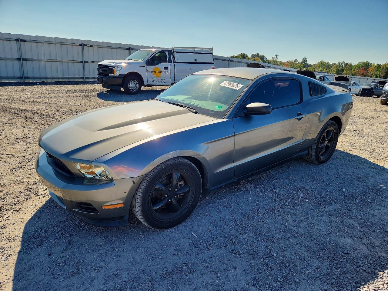 2011 FORD MUSTANG | 1ZVBP8AM5B5125115 | UPCARS