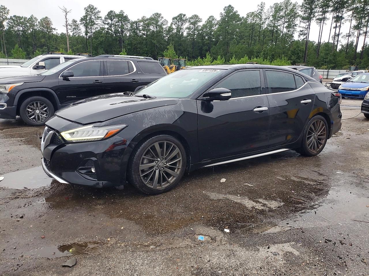 2019 NISSAN MAXIMA PLATINUM | 1N4AA6AVXKC377375 | UPCARS