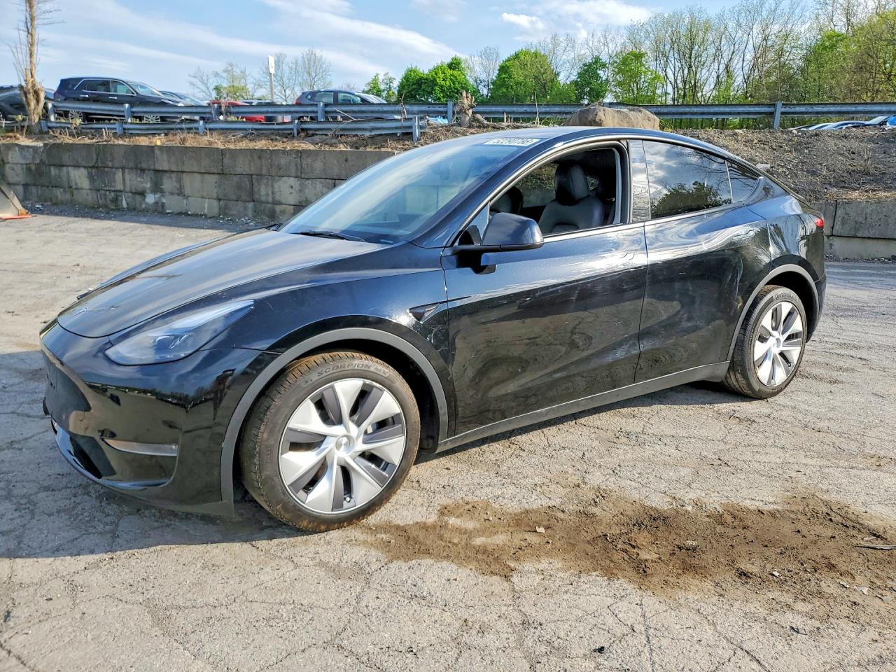 2024 TESLA MODEL Y | 7SAYGDEE7RA222138 | UPCARS